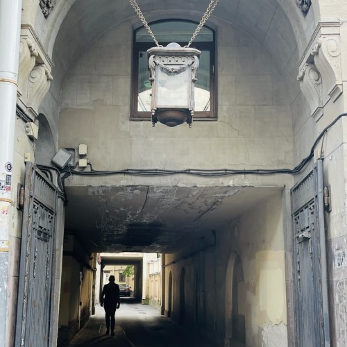 Дворцы и хижины Петроградки