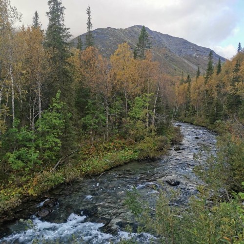 В Мурманск и Териберку из Санкт-Петербурга: Карелия, Кольский полуостров и города по пути