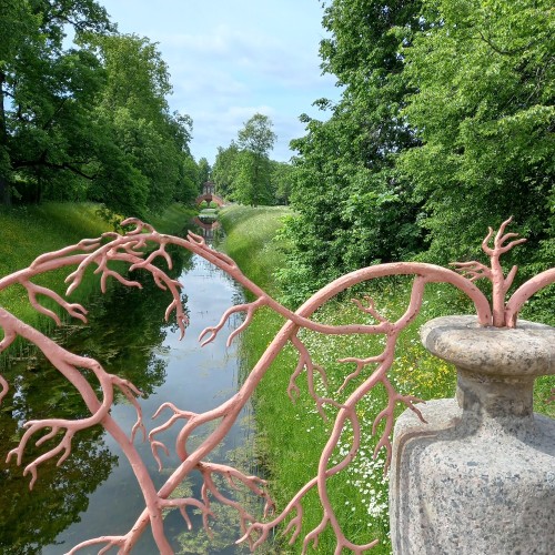 Китайский бум на берегах Невы: Петербург и Царское Село