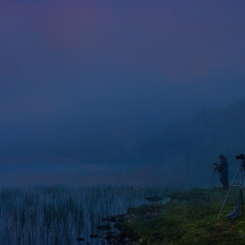 С фотографом на полуострова Рыбачий и Средний (в палатках): мастер-классы по съёмке океана и тундры