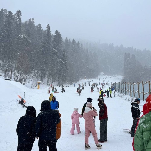 Отдых в Домбае с размахом: зимние красоты, квадроциклы, прогулка верхом, домик в горах (мини-группа)