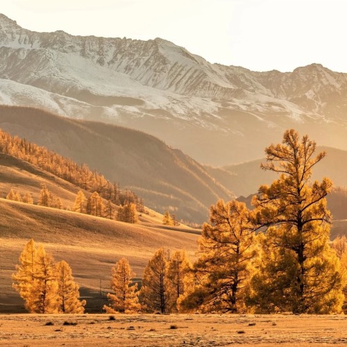 Чуйский тракт. Лучшее за 2 дня