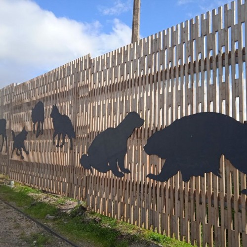 На Кольский полуостров через Карелию: автобусный тур по знаковым локациям (из Санкт-Петербурга)