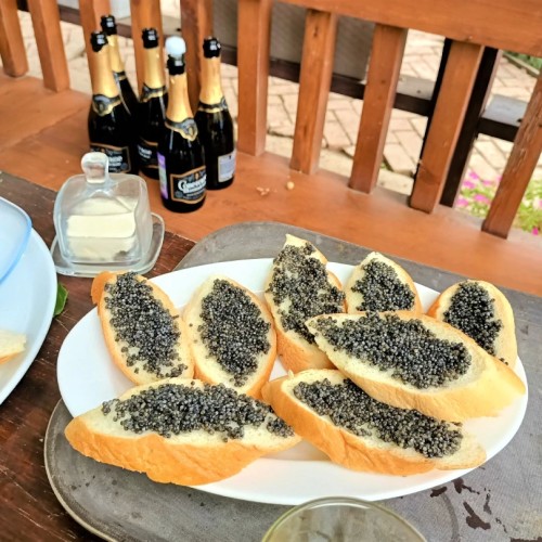 Экспресс-тур в Астрахань: цветущие маковые поля, озеро Баскунчак и песчаный бархан Большой брат