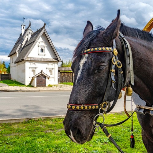 Автобусный тур по городам Владимирской и Ивановской областей с проживанием в спа-отеле