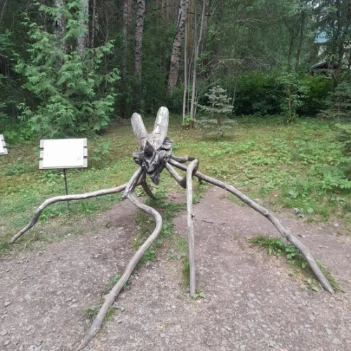 Из Петербурга к месту силы саамов — мистической Воттовааре