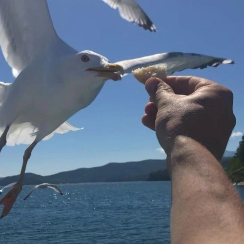 На Байкал с комфортом и «всё включено»: этнопрограмма, национальная кухня и прогулка на корабле