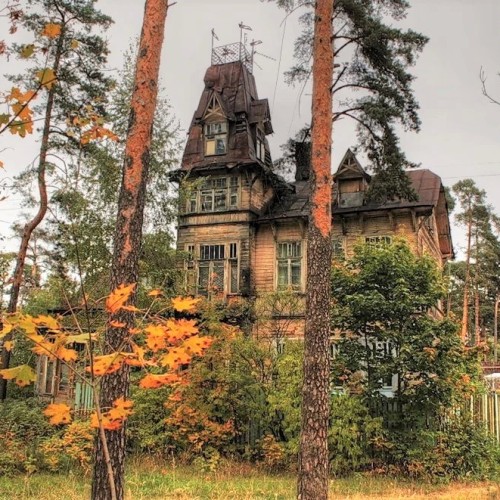 Уютный дачный Сестрорецк