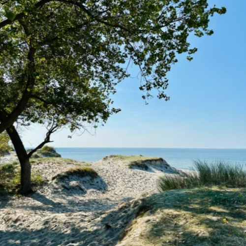 Персональная перезагрузка на Балтийской косе