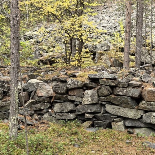 Путешествие-перезагрузка у Белого моря только для вас: природа Кандалакши и древний лабиринт