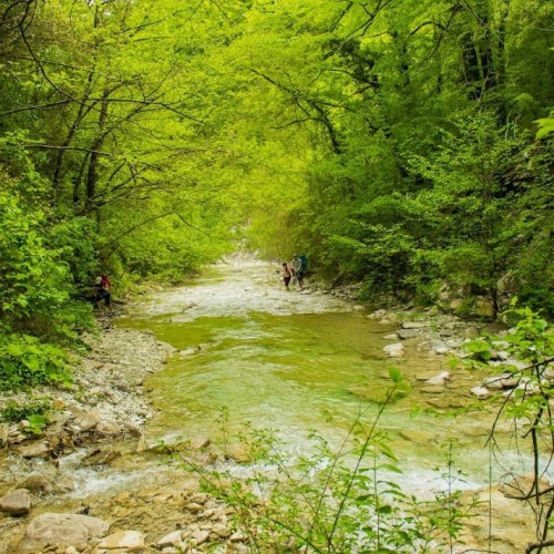 Запах разнотравья и никого вокруг: поход с рюкзаками по долине реки Пшада (всё включено)