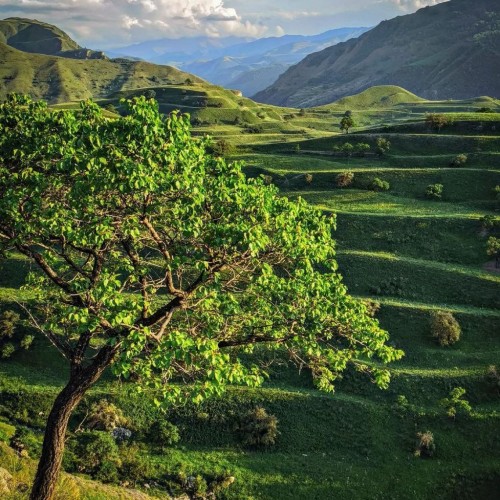 В объятиях гор Дагестана: красивые места, старинные башни и атмосферные аулы