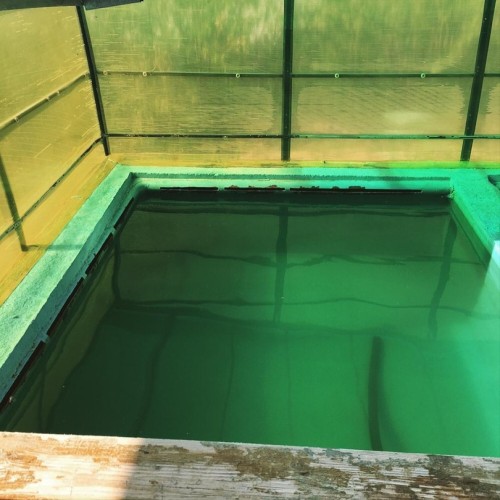 Отдых на северном побережье Байкала со стартом в Северобайкальске и Нижнеангарске