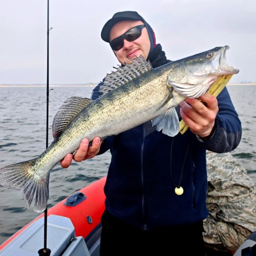 Рыбалка на спиннинг в Балтийском море и его заливах