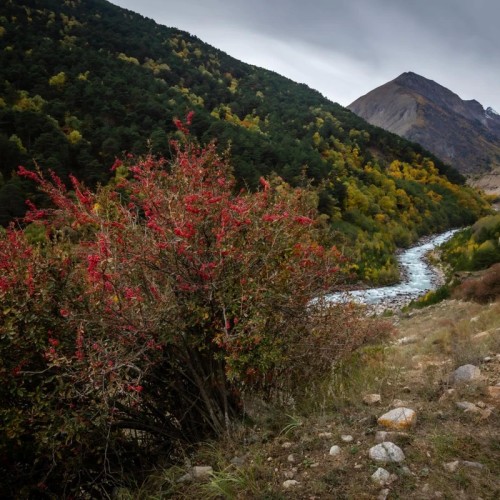 Приключения среди Кавказских гор: от плато Бермамыт до Чегемских водопадов