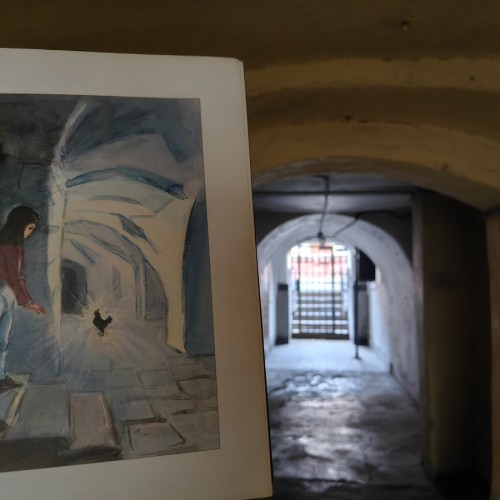 Васильевский «остров сокровищ»: самостоятельное путешествие