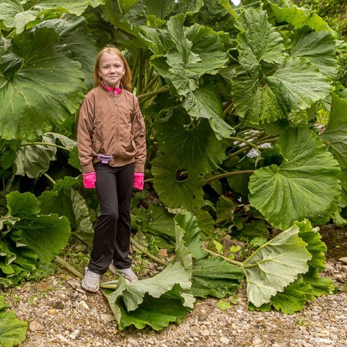 На Кунашир за вулканическими пейзажами: активное путешествие на внедорожнике в мини-группе