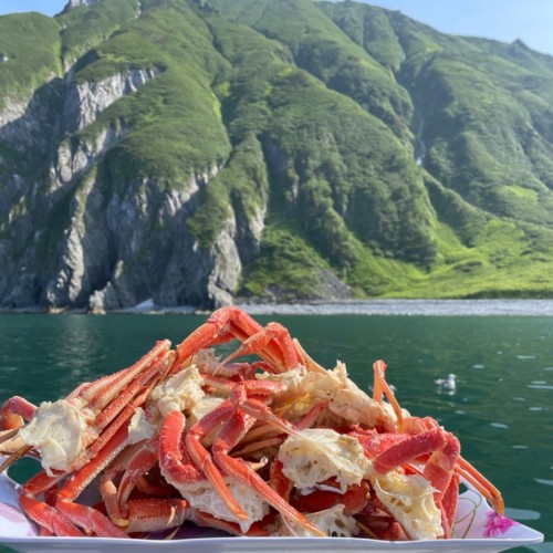 Джип-приключение на Камчатке: главные места, озеро медведей и треккинги