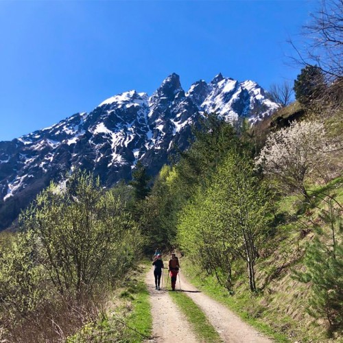 Треккинг в Цейском ущелье налегке с проживанием в гостинице (всё включено)