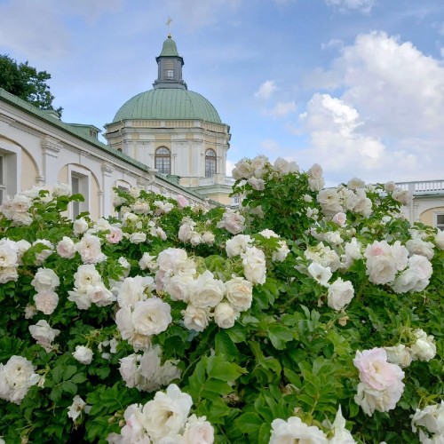Ораниенбаум: грандиозно и роскошно
