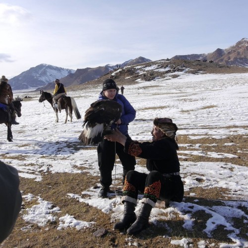 Из Алтая, по Чуйскому тракту — в Монголию на фестиваль беркутчи с проживанием в юрте