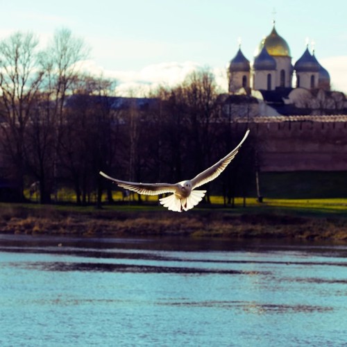 Мотоэкскурсия по Великому Новгороду