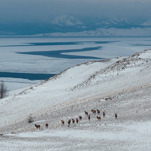 Гастровыезд на джипах в мини-группе: из Иркутска к мысам Ольхона и панорамам Байкала