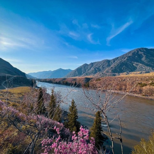 К трём планетам на Алтай из Барнаула, Бийска и Горно-Алтайска