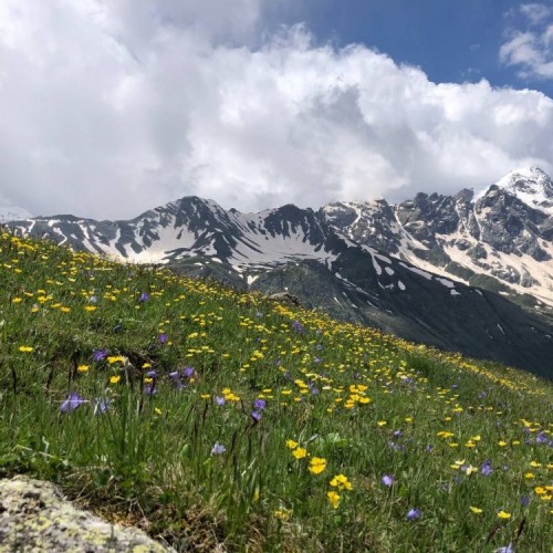 Налегке по Северной Осетии: прогулки по горам Дигории