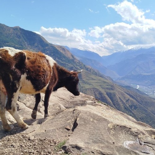 Дюны, горы, бирюза Сулака: по Дагестану на джипах