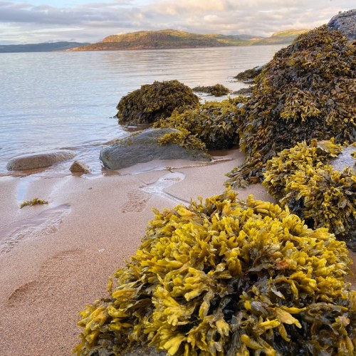 Тур за полярным кругом: Мурманск и Териберка в мини-группе