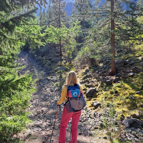 К ледникам и озёрам: треккинг-тур по Алтаю в мини-группе