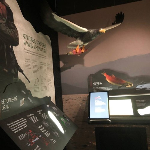 Спа-тур на Камчатку с релаксом в термах: вулканы, погружение в культуру и гастрономия