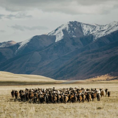 Индивидуально по Алтаю: Чуйский тракт, Гейзерное озеро, «Марсы» и секретные места