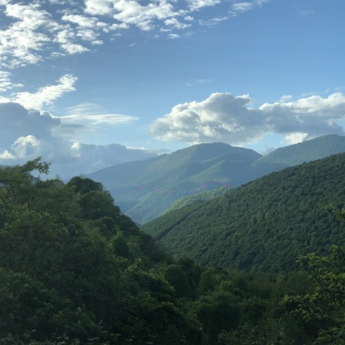 Волшебными дорогами к Рице из Сочи
