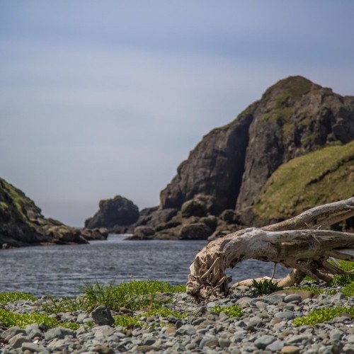 Сахалин, Кунашир и Шикотан: 2 недели на краю света