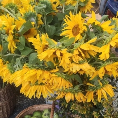 Сытная экскурсия по старейшему рынку Петербурга — с пирожками и чаепитием