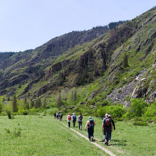 Майские на Алтае в сезон цветения маральника с ежедневными прогулками (всё включено)