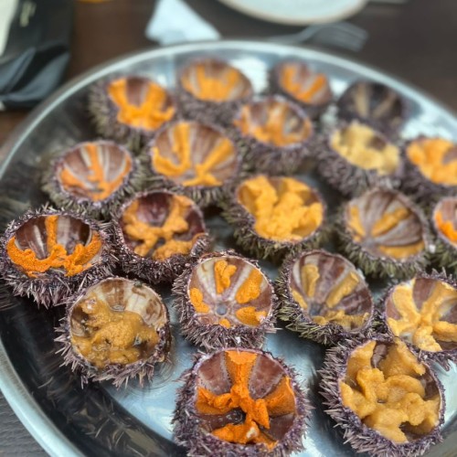 Арктические приключения: морская прогулка в поисках китов, Териберка и этническая деревня