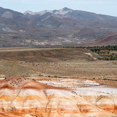 По знаковым местам Алтая с чаепитием у травницы и моторафтингом по Катуни
