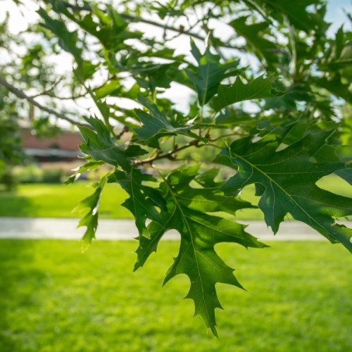 Детская интерактивная экскурсия по Новой Голландии