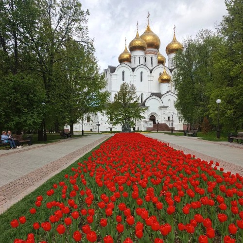 Ярославль в реальности и кино