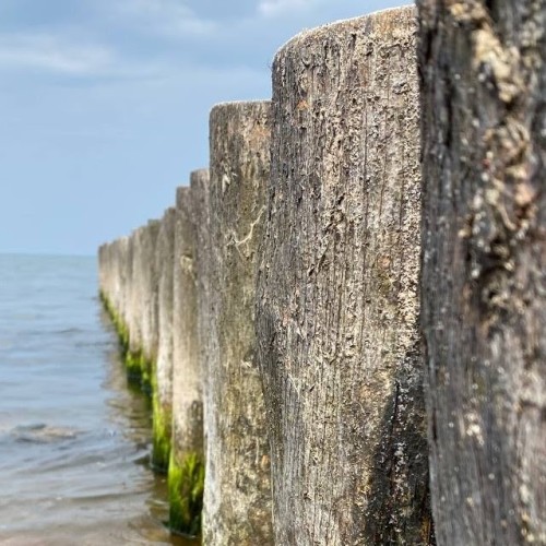 Новые грани Калининграда: необычные экскурсии и нетуристические маршруты