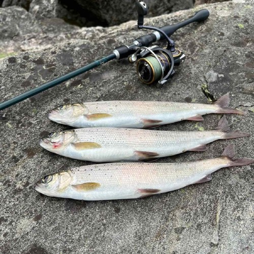 Экстрим-экспедиция на лодке вокруг Ольхона и рыбалка на Байкале только для вас