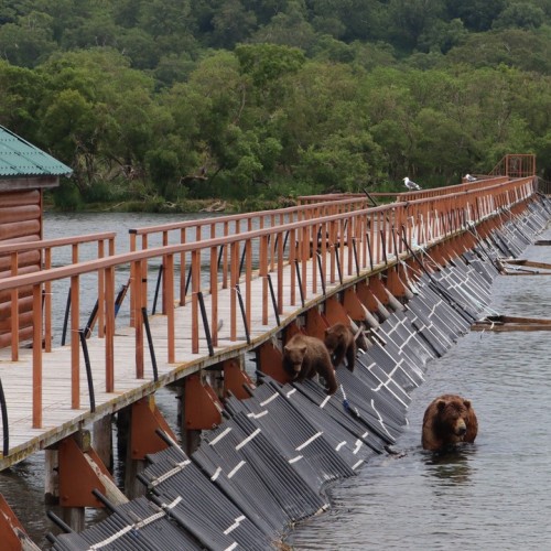 Камчатка в мини-группе: перевалы, бухты, сопки и купание в природных источниках