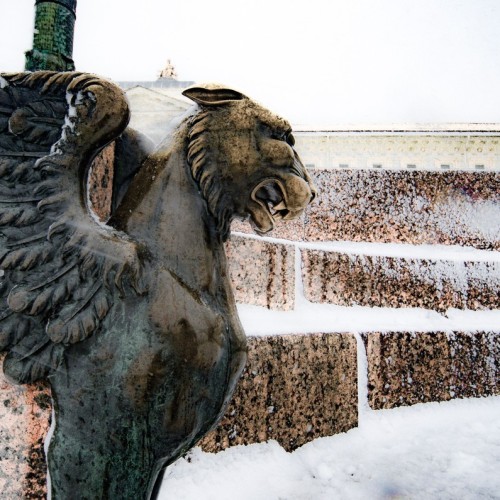 Фантастические твари и где они обитают в Санкт-Петербурге