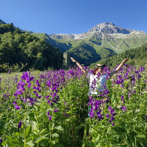 Откликнуться на зов гор: тур в Домбай и Архыз в мини-группе с несложным треккингом и комфортом
