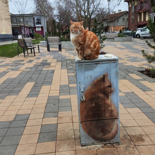 Калининград, балтийские курорты, малые города: индивидуально по главным локациям