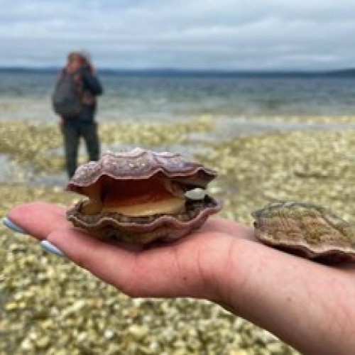 Сахалин, Кунашир и Шикотан: 2 недели на краю света