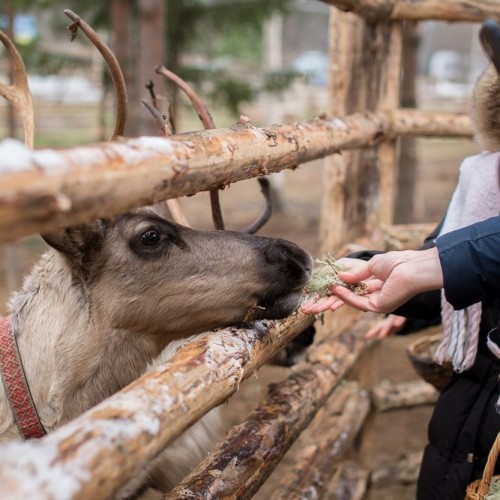 Выходные в сказочной Карелии: основные локации и культура Русского Севера